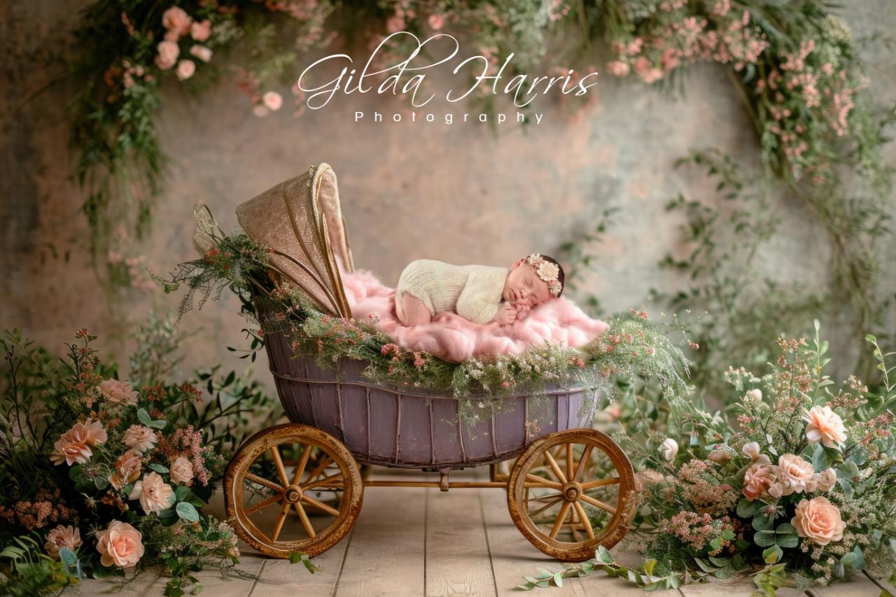 ghphotography-newborn (2) ghphotography-newborn (2)