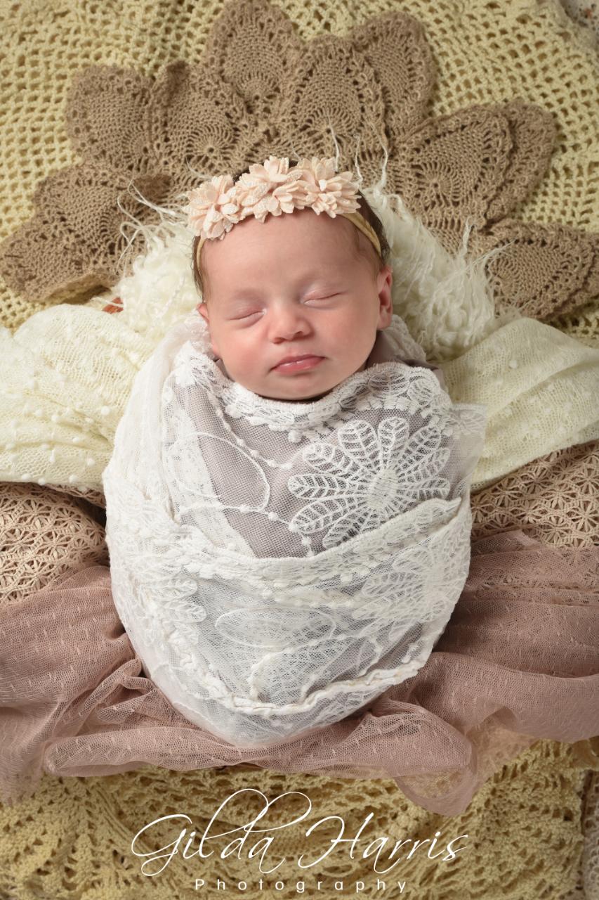 ghphotography-newborn (8) ghphotography-newborn (8)