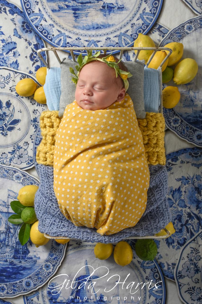 ghphotography-newborn (9) ghphotography-newborn (9)